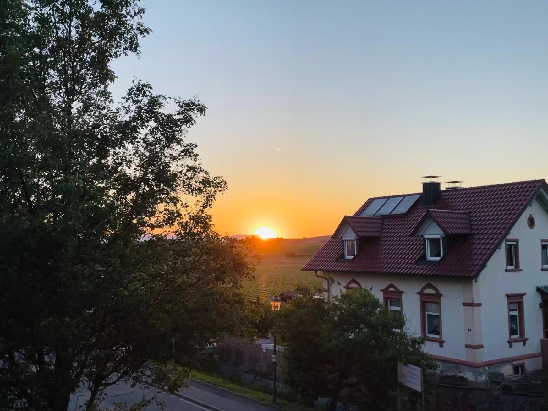 Lp Haus Der Guten Dinge Vogtsburg Exteriér fotografie